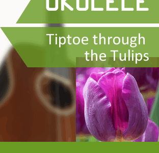 Ukulele Video-Kurs: Tip Toe through the Tulips